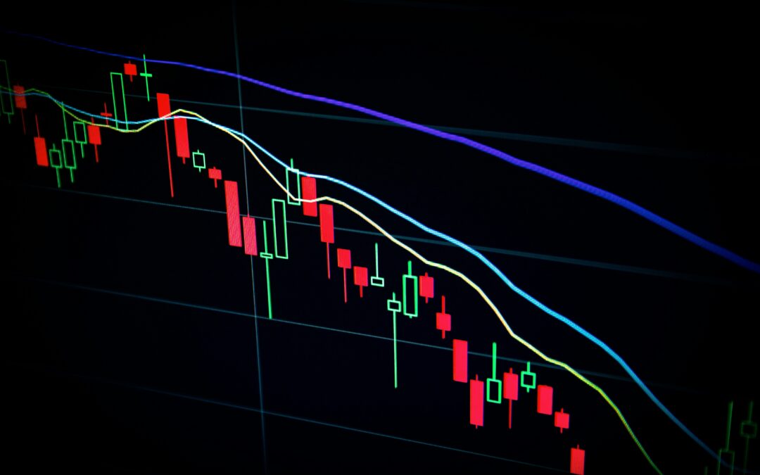 Investment view Q2 24