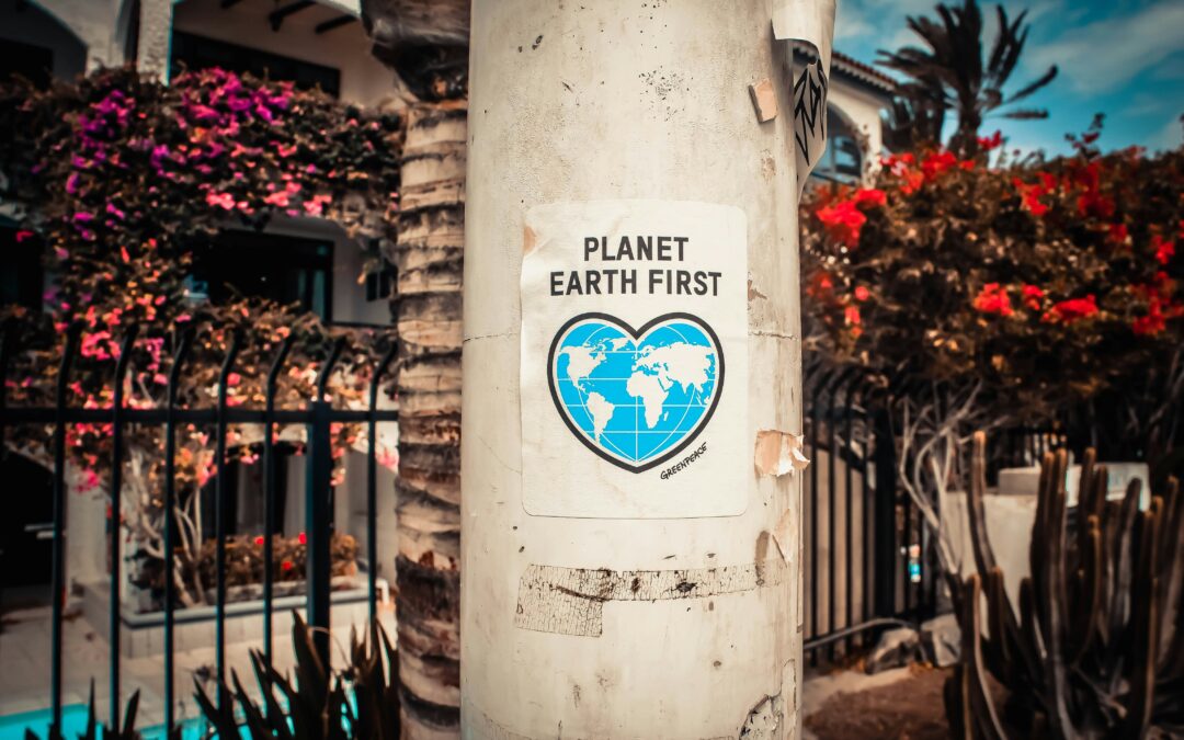 Sustainable Investments